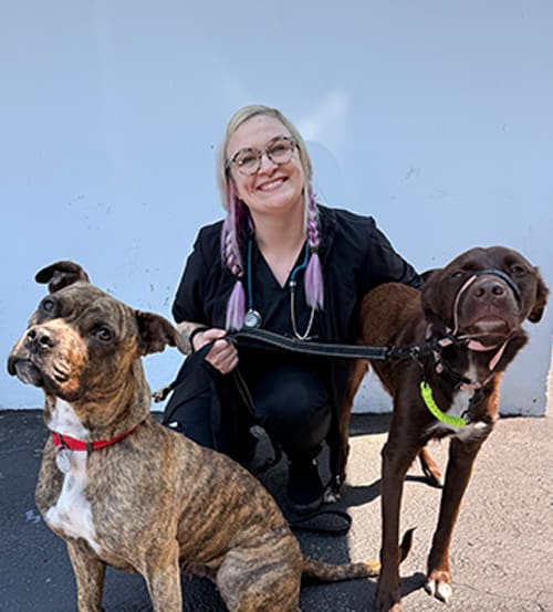Dr. Averie Culbertson, Port Jefferson Veterinarian