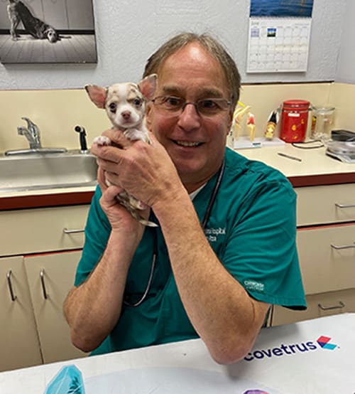 Dr. Jeffrey Rose, Port Jefferson Veterinarian